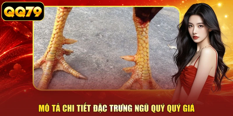 Mô tả chi tiết đặc trưng ngũ quý quý giá