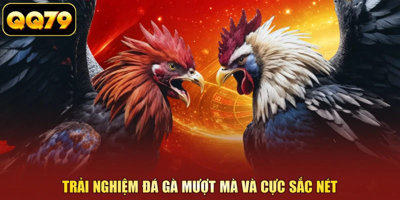 Trải nghiệm đá gà mượt mà và cực sắc nét