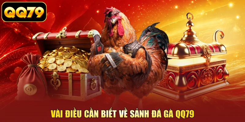 Vài điều cần biết về sảnh đá gà QQ79
